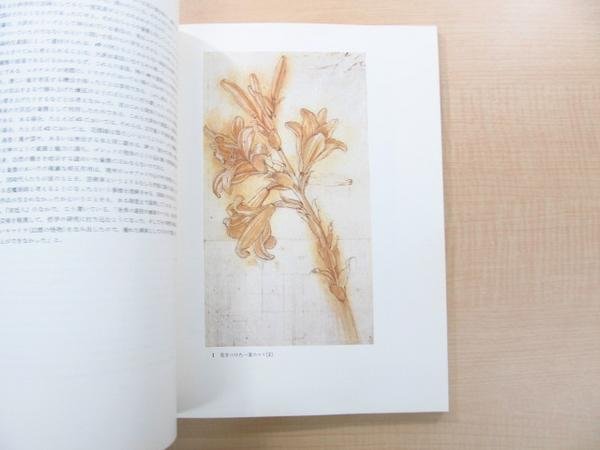 Photo4: Leonardo da Vinci Drawings - Windsor Castle Royal Library built (1985) (4)