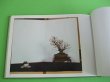 Photo2: Keido Katayama school Bonsai Book vol1-3(3vol set) (2)