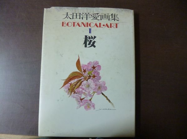 Photo1: Yoai OHTA Art Botanical Art vol.1 Sakura Cherry Blossoms　(1981) Japanese book (1)