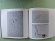 Photo3: Klimt Exhibition (1981) Japanese book (3)