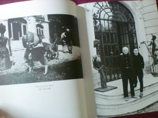 Photo2: Viva Picasso (1980) Japanese book (2)