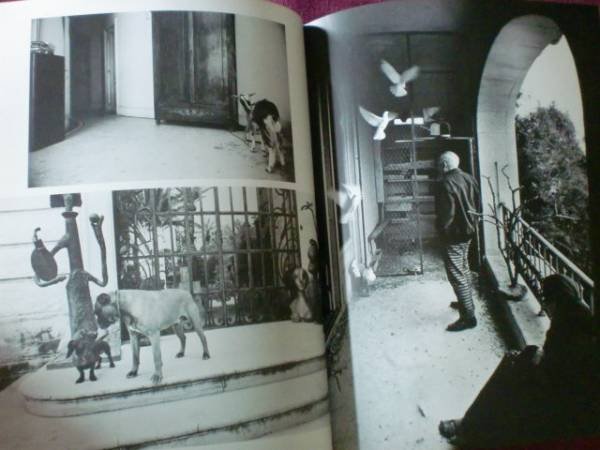 Photo3: Viva Picasso (1980) Japanese book (3)