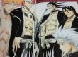 Photo5: BLEACH Illustrations - All Colour But The Black (5)
