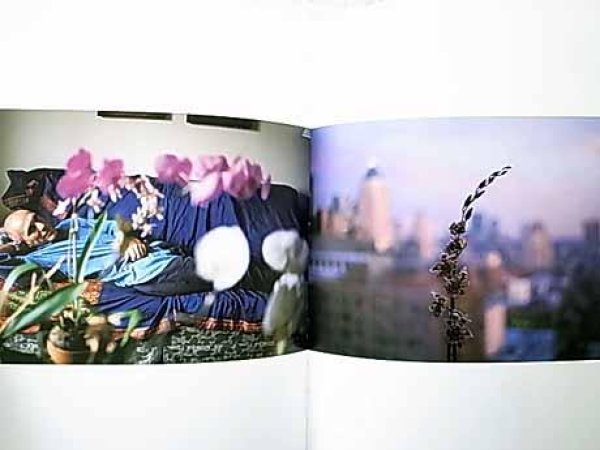 Photo2: Japanese edition photo album DEVILS PLAYGROUND ：Photographs by Nan Goldin (2)