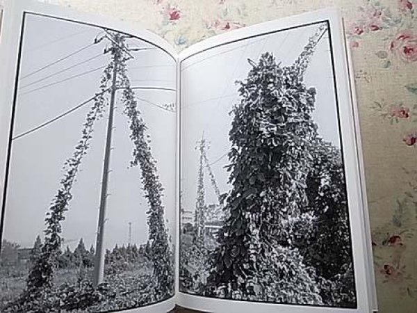 Photo7: Japanese edition camera book : Walking with Leica vol.1 and 2 by Kazuo Kitai 2 volume sets (7)