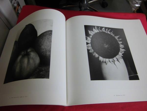 Photo3: Japanese edition photo album Exhibition catalog：Photographs by Edward Steichen (3)