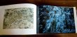 Photo4: Japanese edition photo album The Creation Genesis creation narrative：Photographs by Ernst Haas (4)