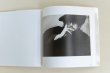 Photo3: Japanese edition photo album ：Photographs by Edward Steichen (3)