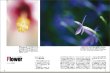 Photo3: Japanese edition camera photo album book :  Nikon D800 & D800E WORLD (3)