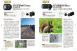Photo5: Japanese edition camera photo album book :  Nikon D500 Complete Guide (5)