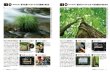Photo2: Japanese edition camera photo album book :  Nikon D810 Complete Guide (2)