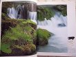Photo3: Japanese edition camera photo album book :  Nikon Nikkor LENS perfect guide (3)