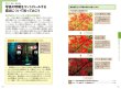 Photo2: Japanese edition camera photo album book : Q10 Quick Handbook PENTAX PENTAX Q corresponding  (2)