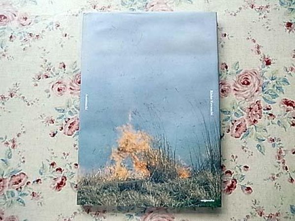 Photo1: RINKO KAWAUCHI photo album book : Ametsuchi  (1)