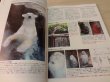 Photo2: Japanese edition camera photo album book : Canon EOS Kiss KissX2・KissF  (2)