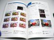 Photo3: Japanese edition camera photo album book : Canon New EOS Kiss digital start book (3)