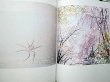 Photo2: RINKO KAWAUCHI photo album book : Illumination ,ametsuchi,seeing shadow (2)
