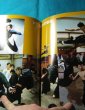 Photo3: Japanese edition Bruce Lee / Lee Jun-fan / Jeet Kune Do photo book : Fighting spirit Bruce Lee (3)