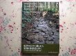 Photo1: Japanese edition photo album by Sanjiro Minamikawa：Kumano Kodo (1)