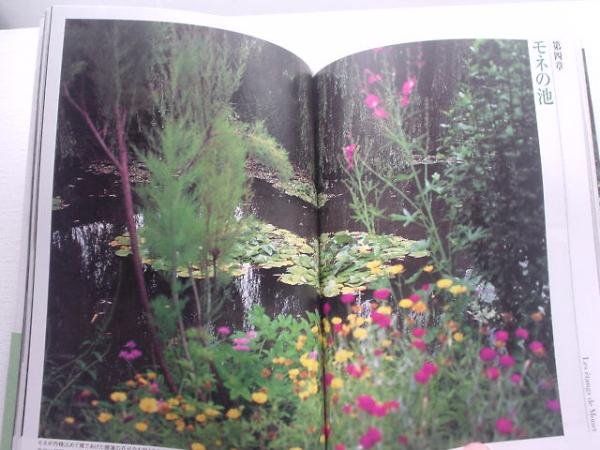 Photo3: Japanese edition photo album by Sanjiro Minamikawa：Mone no niwa (3)