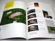 Photo2: Japanese edition camera photo album book : SONY α５５＆α３３ start book (2)