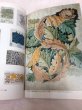 Photo5: Japanese edition photo album by Sanjiro Minamikawa：Paradise of William Morris (5)
