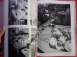 Photo3: Japanese edition photo album by Sanjiro Minamikawa：The factory of porcelain in europe (3)