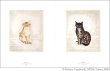 Photo2: Japanese edition book by artist painter Léonard-Tsuguharu Foujita: Book of the cat (2)