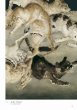 Photo4: Japanese edition book by artist painter Léonard-Tsuguharu Foujita: Selected Works 1886 - 1968 Foreign Lands (4)