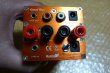 Photo4: Carot One "GILDOLO (Dildo)" D Class Integrated Amplifier (4)