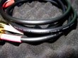 Photo3: Rca ⇔ Ts gold plug WBT hifi audio cable 65 cm x 2 (3)
