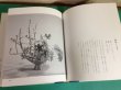 Photo2: Japanese book - Ikebana,flower arrangement,old school of Shogetsudo Works - 1980 (2)