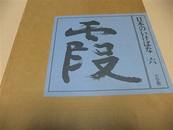 Photo1: Super Deluxe Ikebana Book Ikenobo School Kasumi Teshigawara (1)