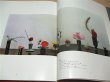 Photo4: Super Deluxe Sogetsu-ryu Ikebana Book Sofu Teshigahara 1st Iemoto (4)