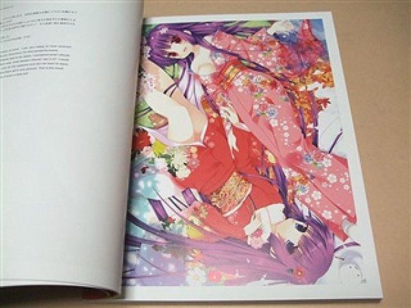 Photo4: Eshi 100-Contemporary Japanese Illustration in Akihabara English (4)