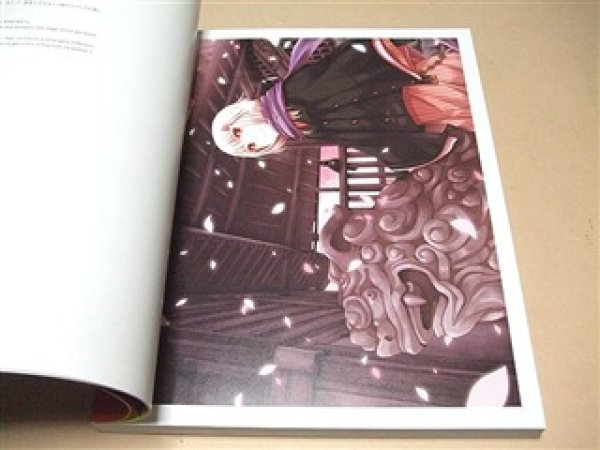 Photo5: Eshi 100-Contemporary Japanese Illustration in Akihabara English (5)