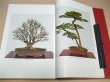 Photo3: Deluxe Bonsai Book -Its Beauty and Tradition (3)