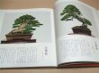 Photo3: Showa no bonsaifu -fifty years' history of kokufu bonsai exhibition (3)