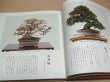 Photo4: Showa no bonsaifu -fifty years' history of kokufu bonsai exhibition (4)