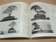 Photo5: Showa no bonsaifu -fifty years' history of kokufu bonsai exhibition (5)