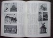 Photo2: Japanese book - Japanese folk toy encyclopedia - 1965 (2)
