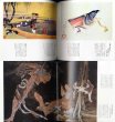 Photo3: UKIYOE Ukiyo-e   Hokusai (1984) Japanese book (3)