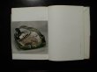 Photo2: Japanese vintage used book - Japanese pottery guide vol.5 Oribe ware 1959 (2)