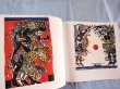 Photo4: Japanese Woodblock Prints book - South Island - Bokunen Naka woodcut art book (4)