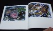 Photo5: Japanese Woodblock Prints book - South Island - Bokunen Naka woodcut art book (5)