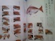Photo4: how to create a new dish from basic sashimi - textbook of sashimi (4)