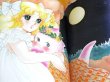 Photo3: Flower Hat and Candy (Candy Candy picture book) by Yumiko Igarashi (3)