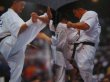 Photo3: Japanese Martial Arts Book - Kyokushin Karate - Kenji Yamaki Photos Book (3)