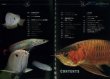 Photo2: Japanese photo book - Arowana full breeding (Aquarium visual guide) (2)