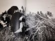Photo4: Japanese Vietnam War Photo Book - Photographic recording BUNYO ISHIKAWA (4)